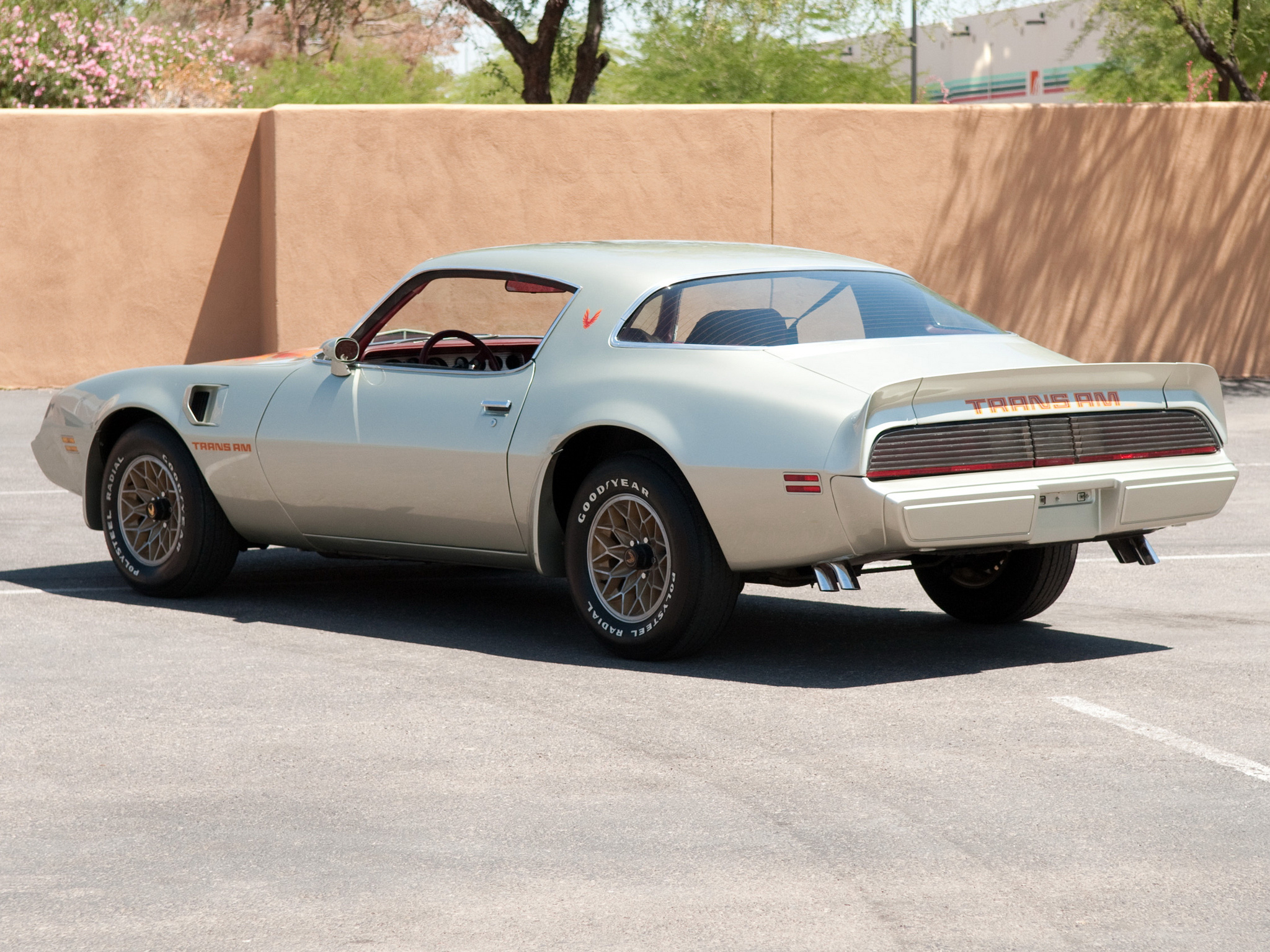 Pontiac Firebird: 10 фото